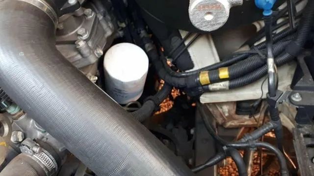 Iveco Baú 35s14 2019  - Foto 3