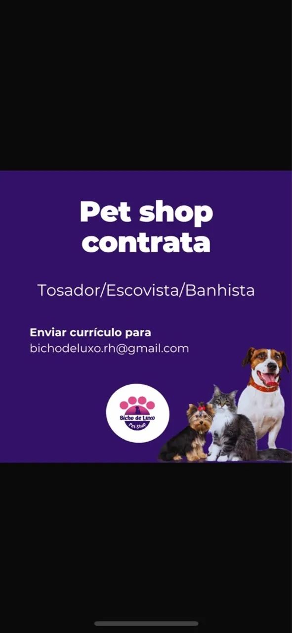 PET SHOP CONTRATA 