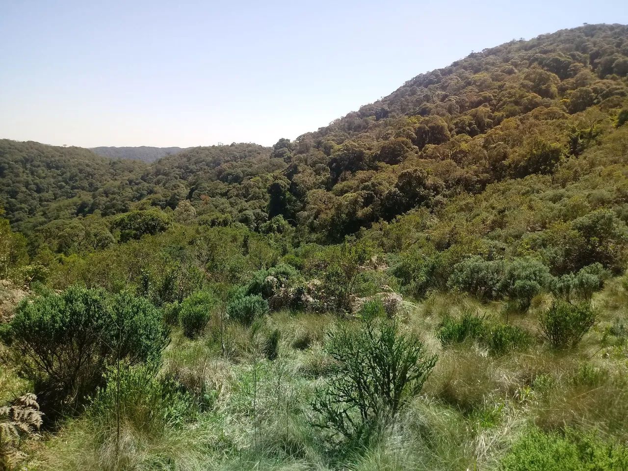 Terreno 102 hectares em Anitápolis-SC  - Foto 2