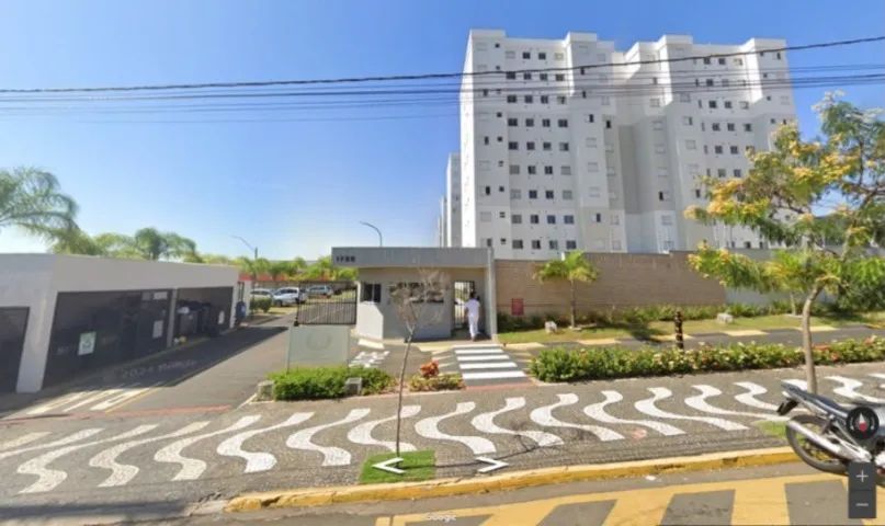 Foto - Araras - Jardim das Palmeiras