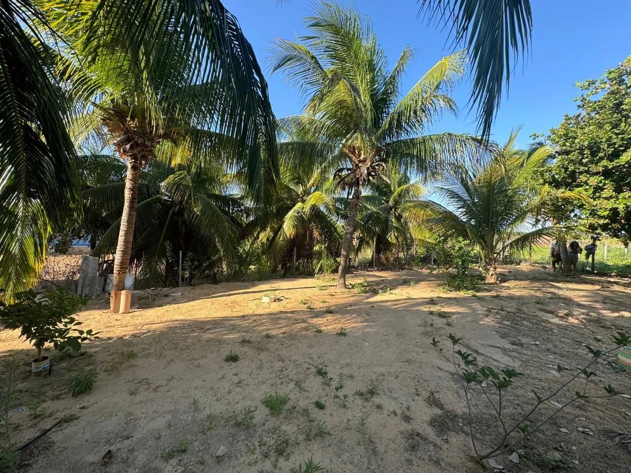 foto - Petrolina - Gercino Coelho