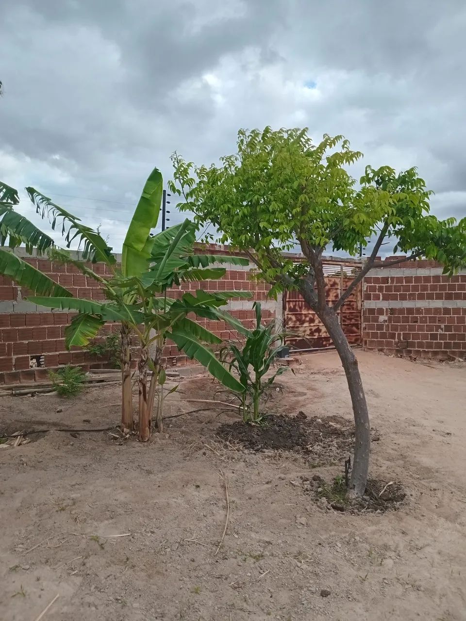Foto - Petrolina - Área Rural de Petrolina