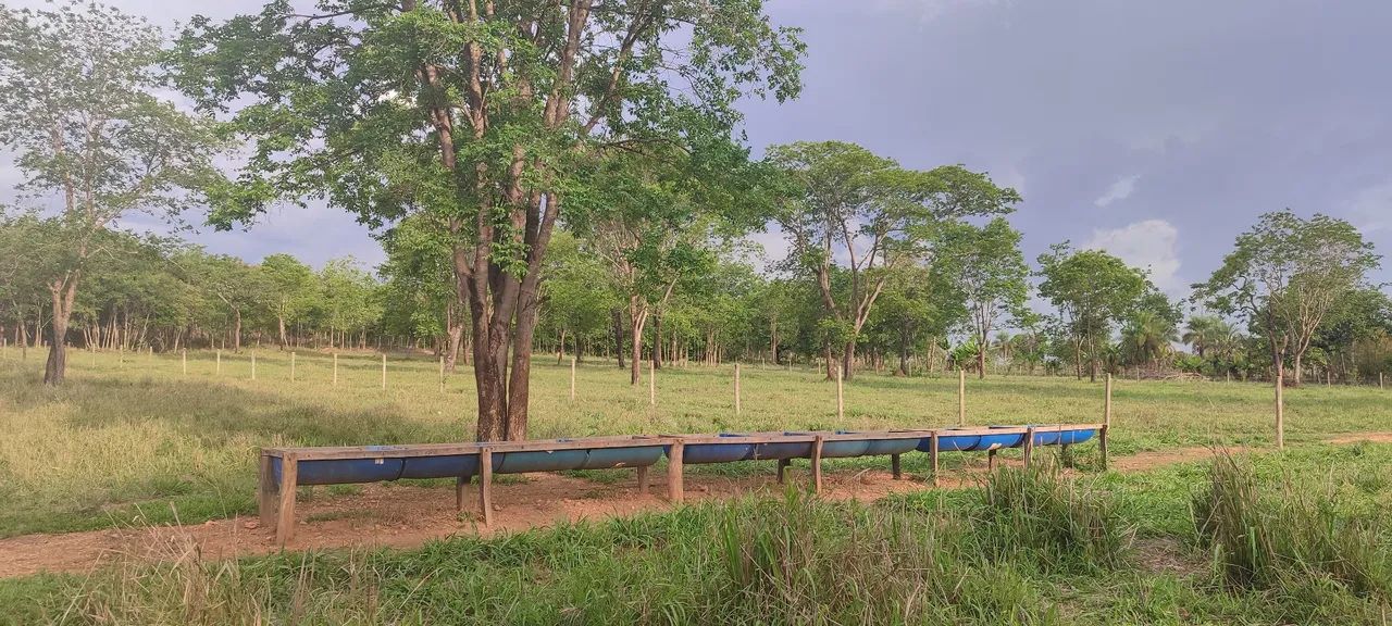 Chácara em varjao 