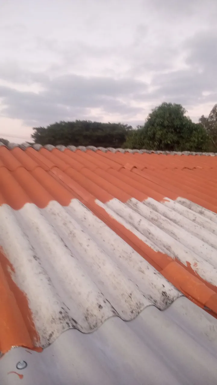 reformas impermeabilizações e pintura de telhados