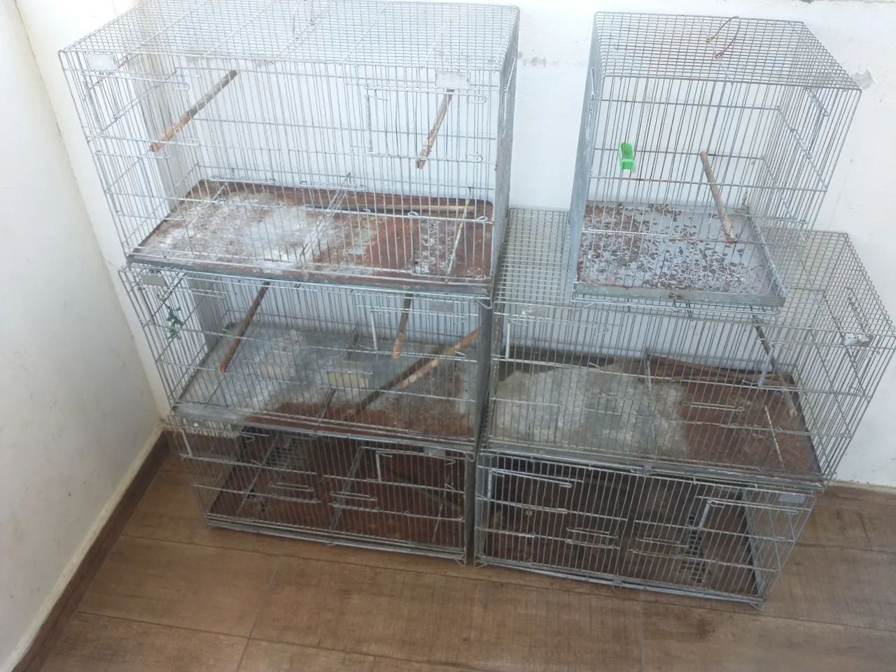 Gaiolas para pássaros Criadeiras 