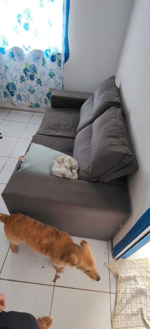 Sofá (me livrando) - Foto 2