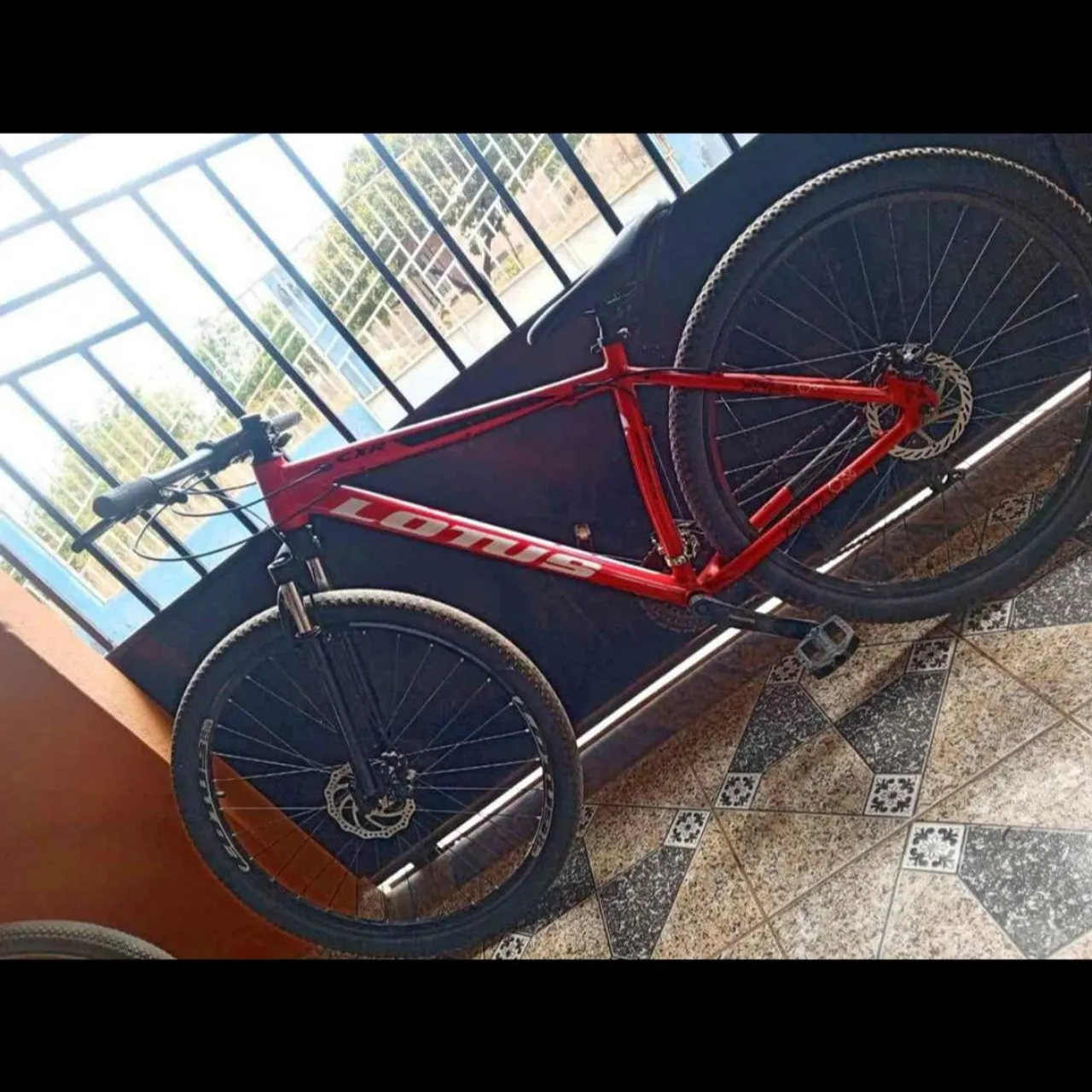 Bicicleta lotus 
