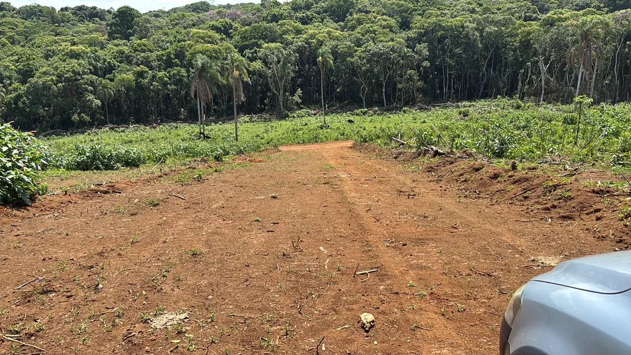 Terreno plano com muro - pronto para construir! - Foto 3