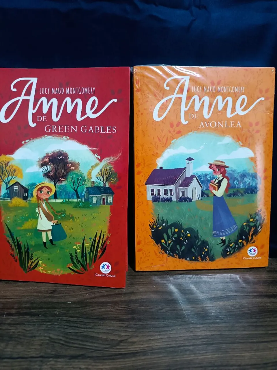 2 Livros Anne de Avonlea - novos