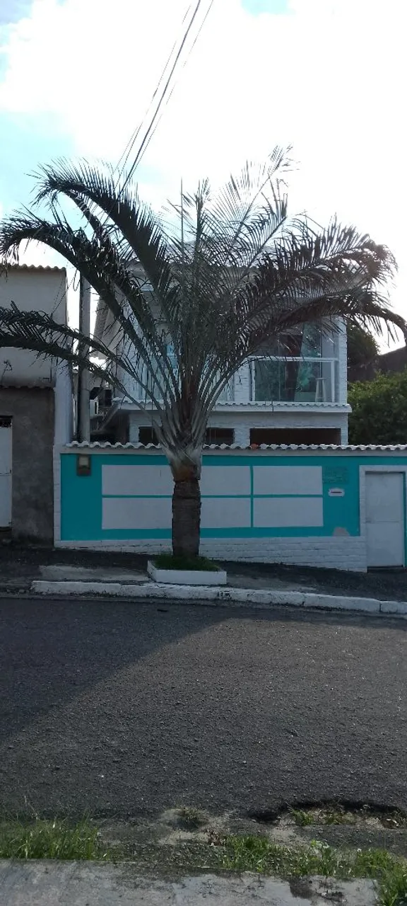 Vendo coqueiro ornamental aceito dinheiro ou Pix retirar o produto no local