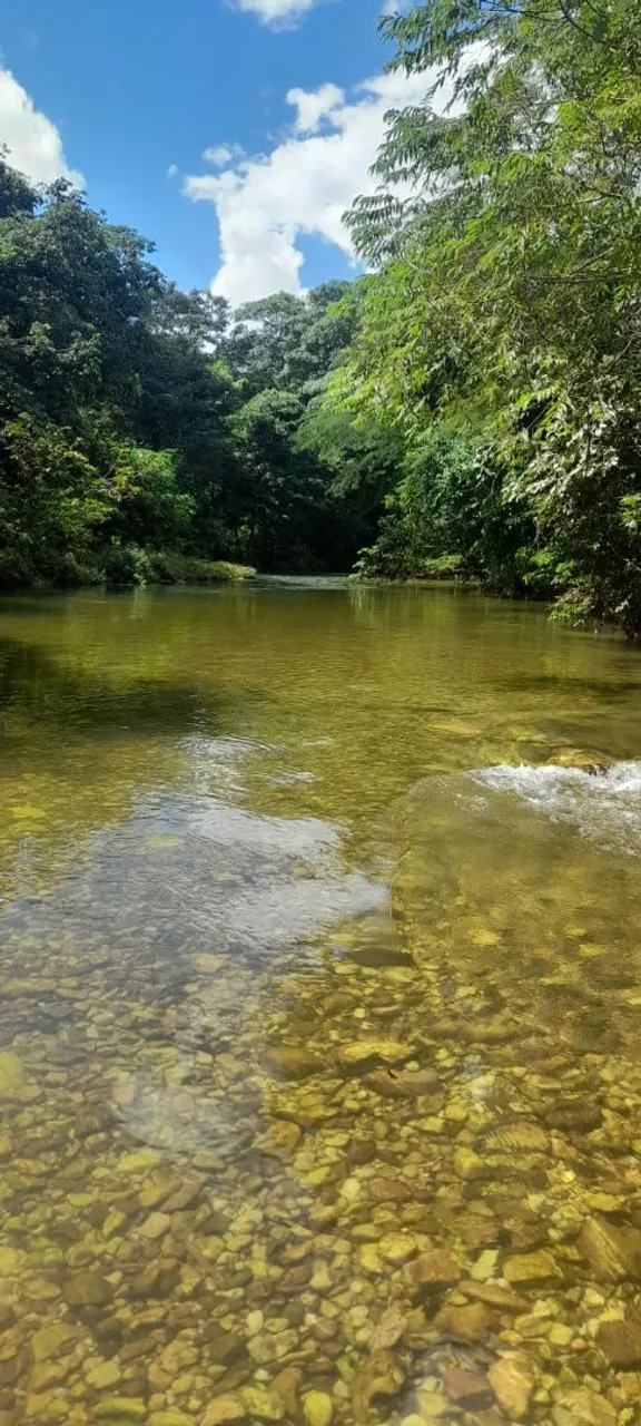 Chácara no Coxipó do ouro 