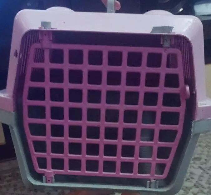 Caixa de transporte para animais de estimação PROMOÇÃO  - Foto 3