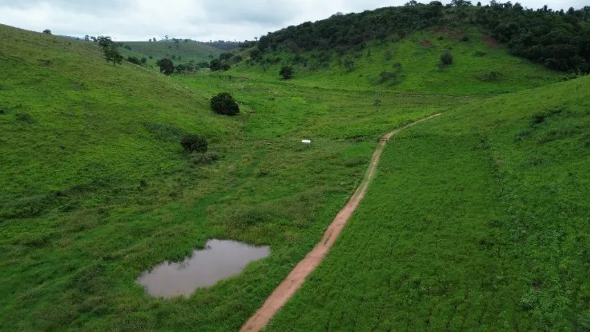 Fazenda pronta com 712 hectares - Foto 5
