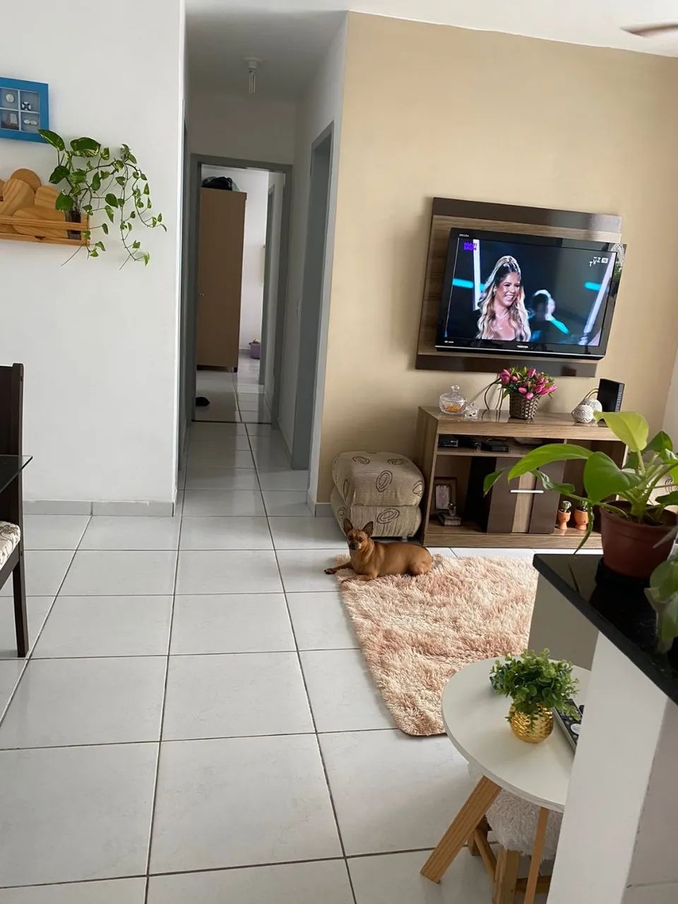 Apartamento para venda com 53 metros quadrados com 2 quartos - Foto 2