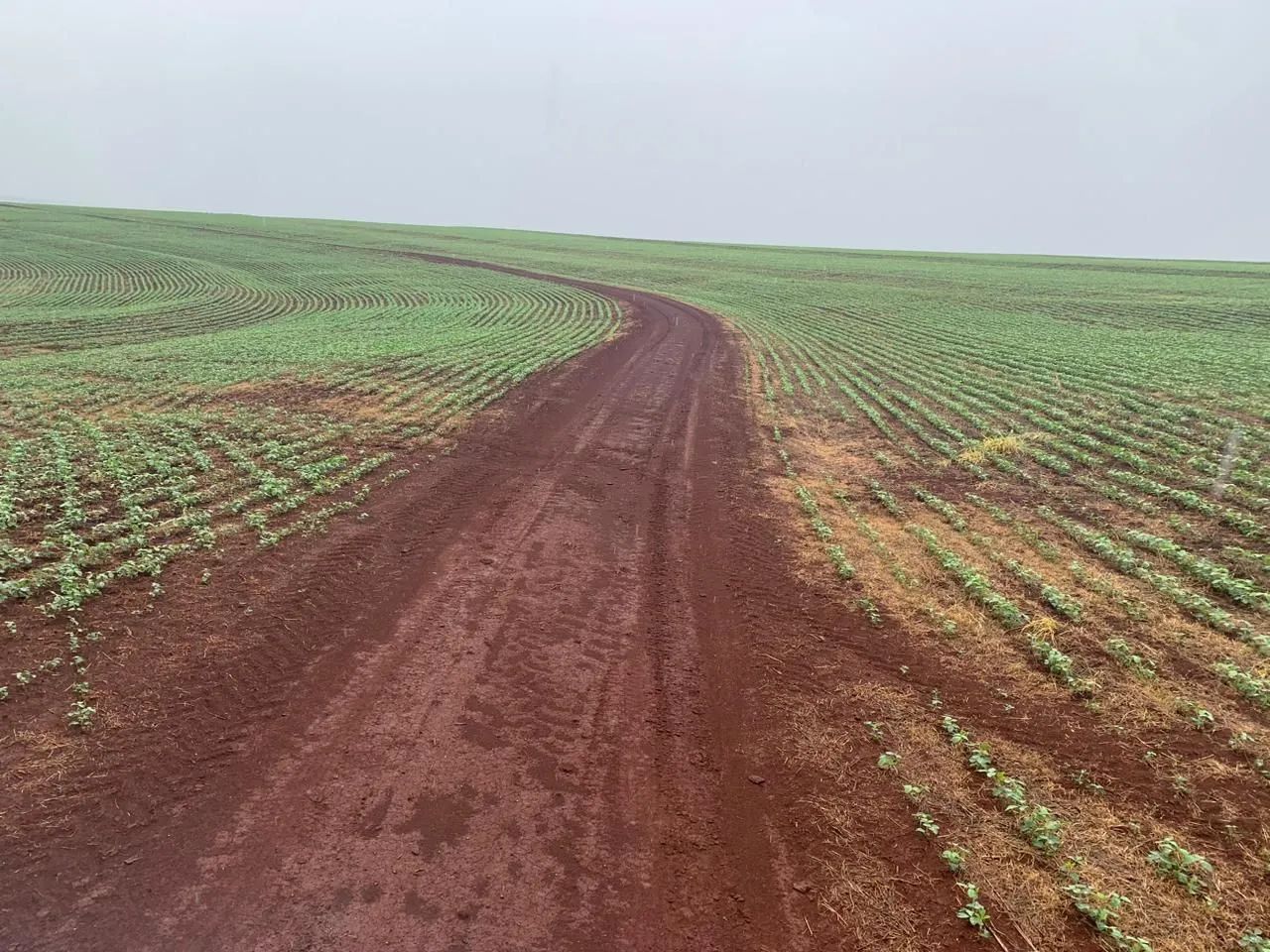Fazenda a venda  - Foto 5