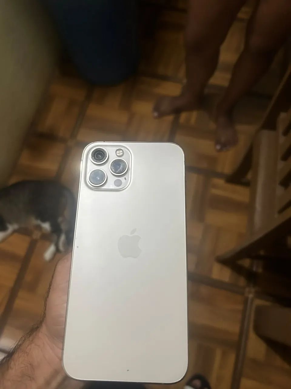 IPHONE 12 PRO MAX 