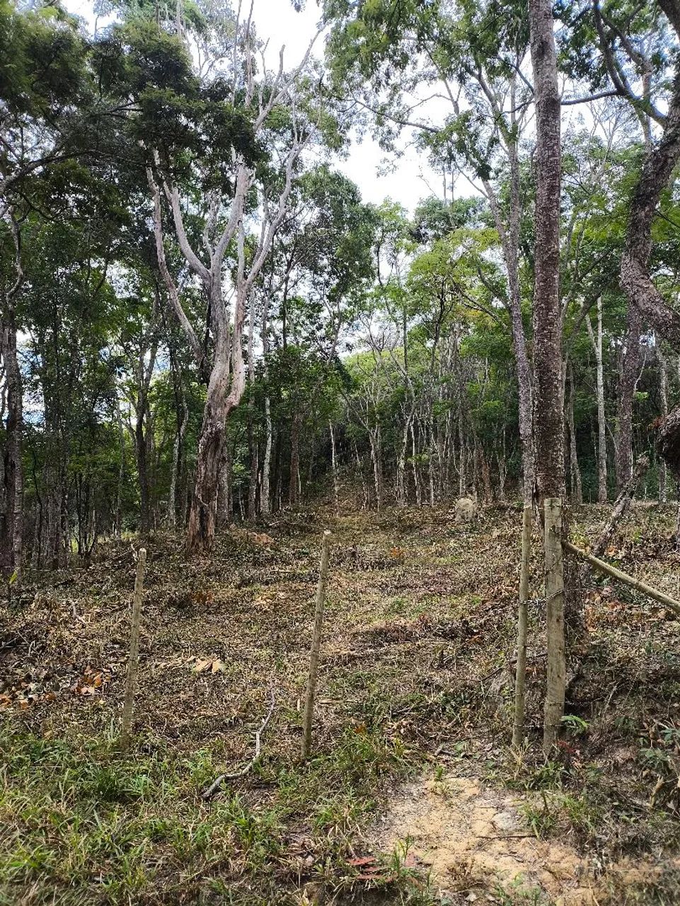Terreno próximo a Ravena - Foto 3