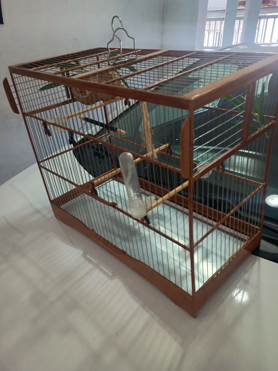 Animais e acessórios  - Foto 4