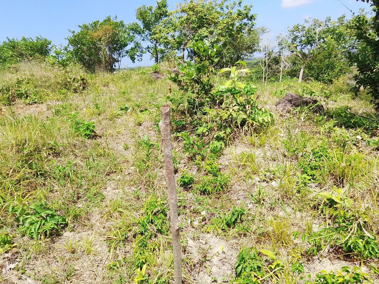 Terreno 8x20 com visão panorâmica privilegiada