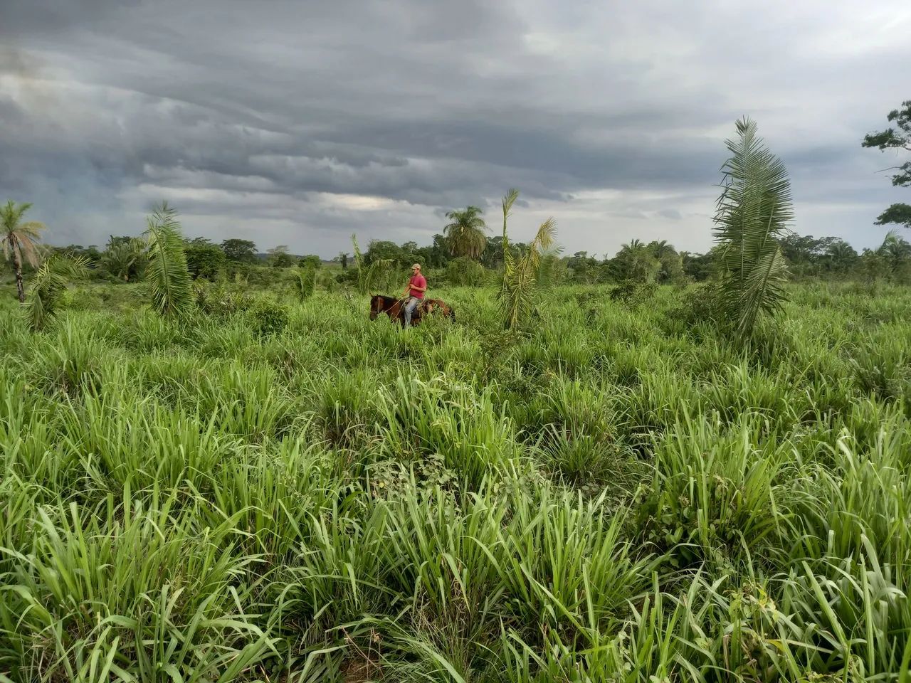 Fazenda São Cristóvão 02 - Foto 5