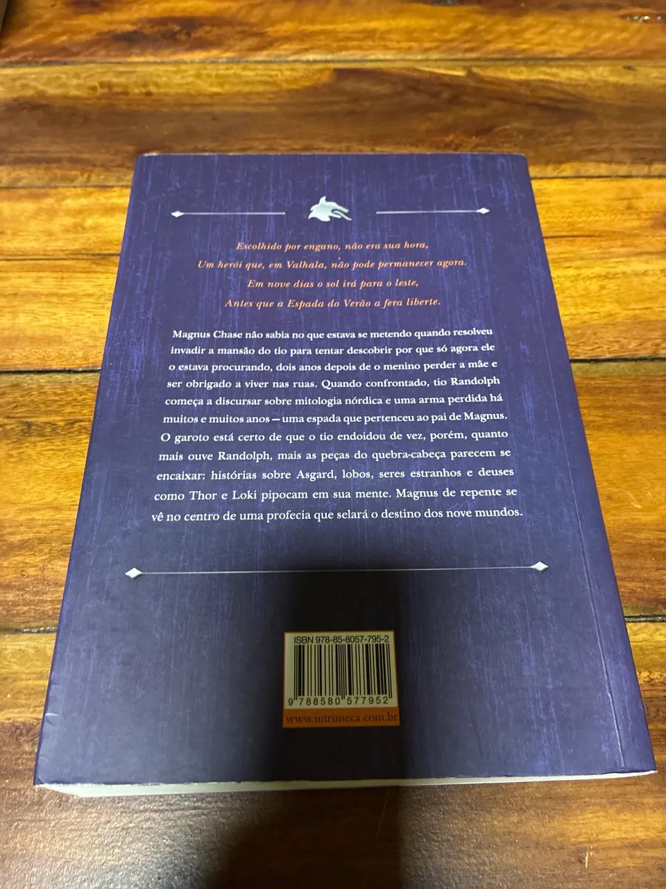 Livro A Espada do Verão - Foto 2
