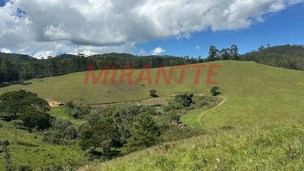 Chácara em Paiol Grande - Foto 2