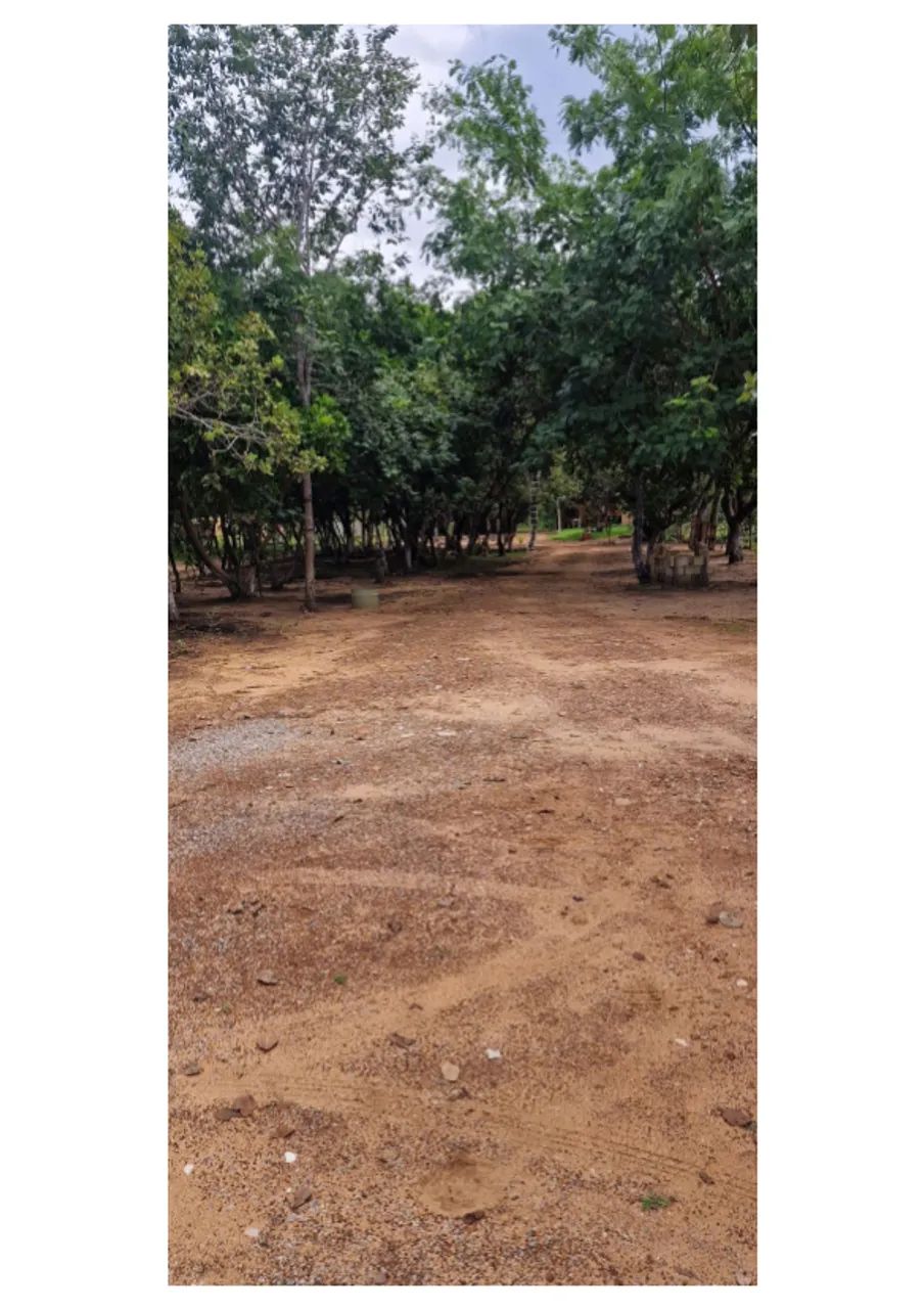 Chácara à venda, Plano Diretor Sul, Palmas, TO - Foto 2