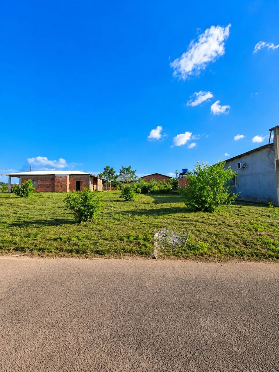 LOTE NO FLORESTA TROPICAL