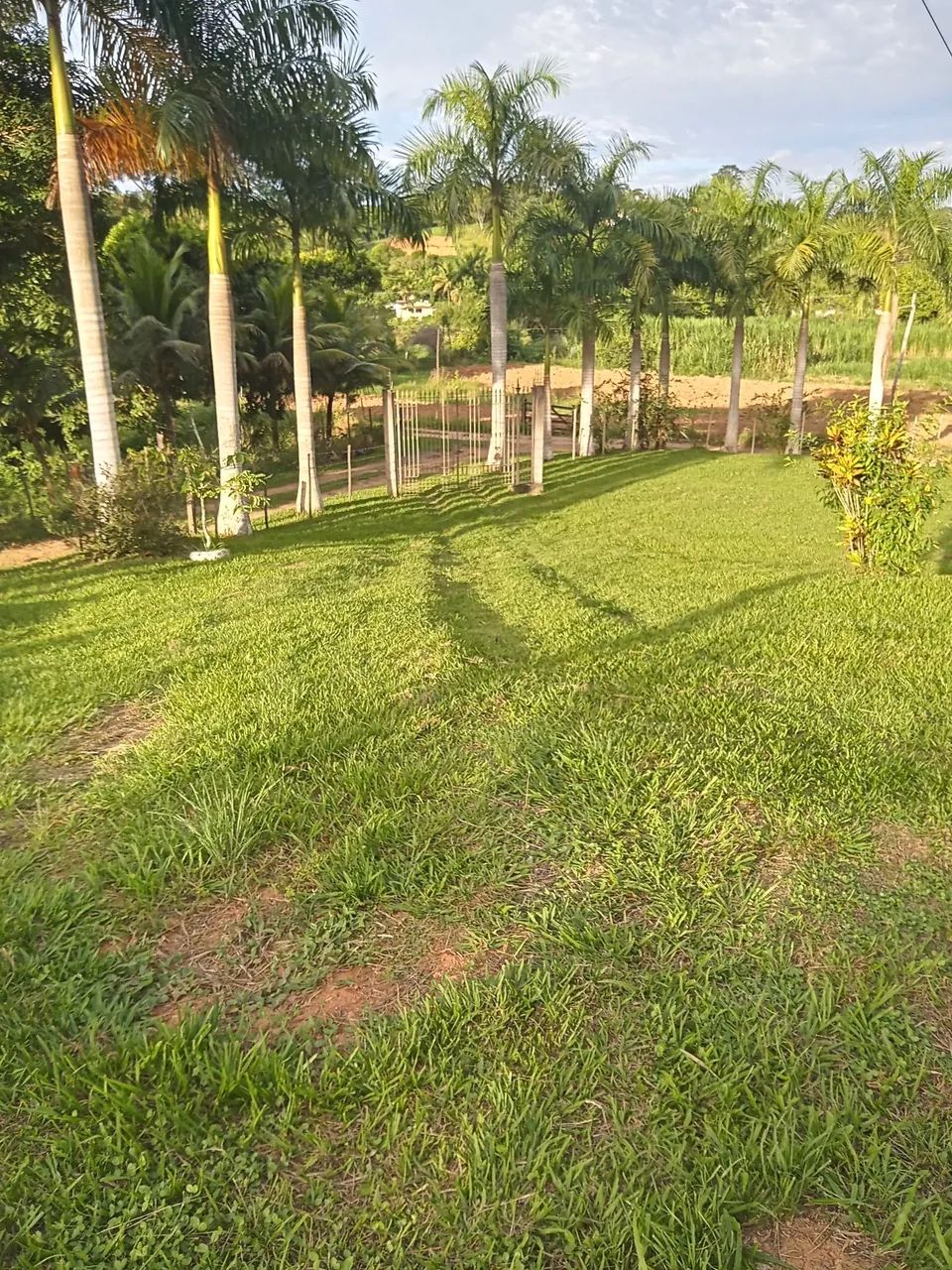 venda - Foto 5