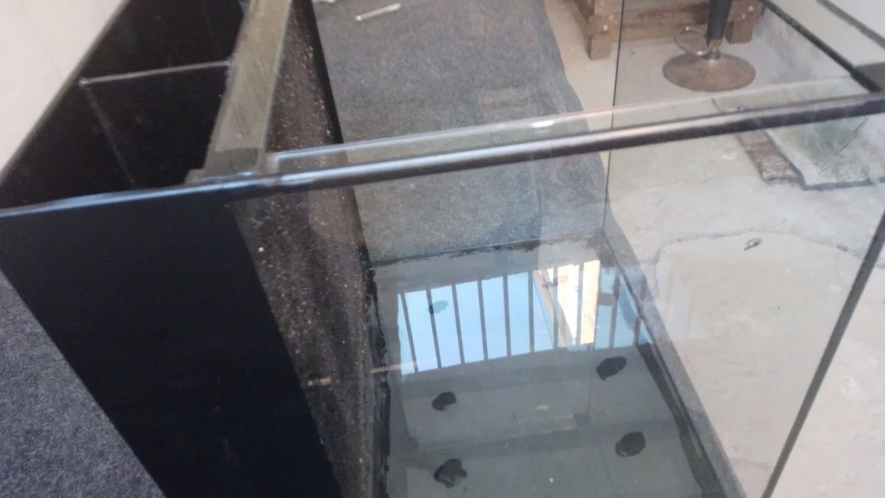 Aquário novo  - Foto 5