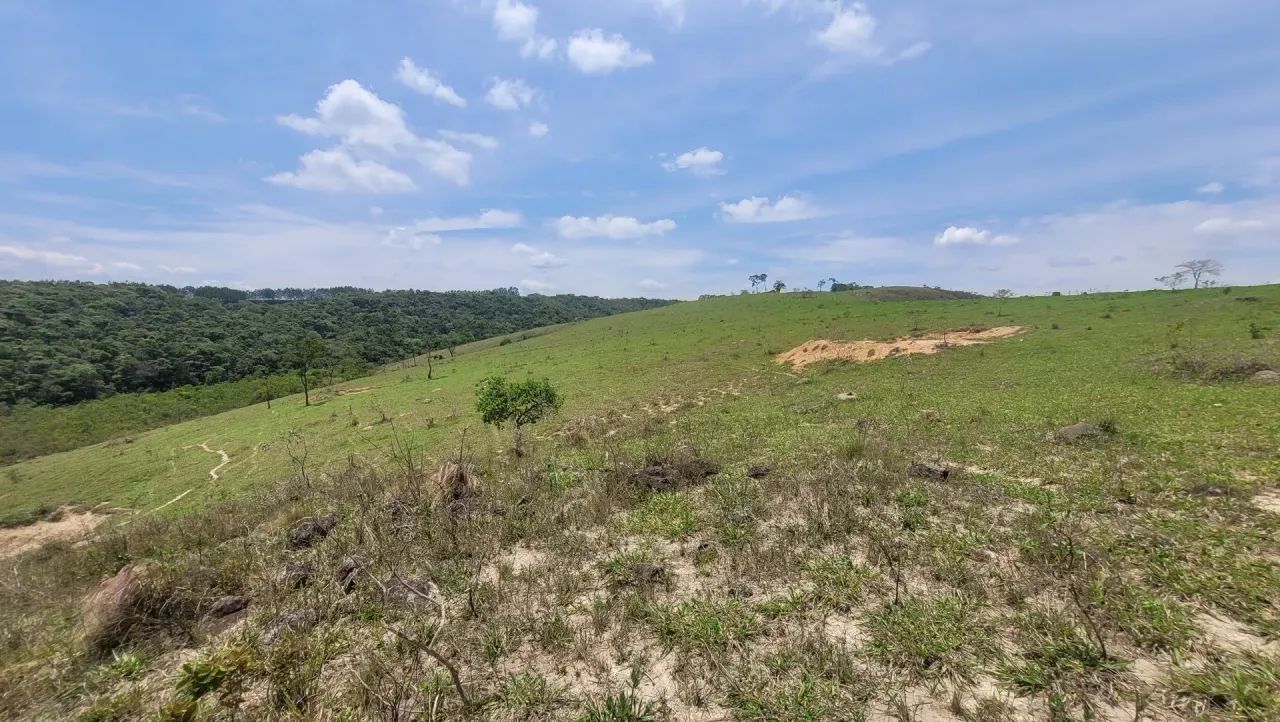 Fazenda de 277 hectares - Foto 4