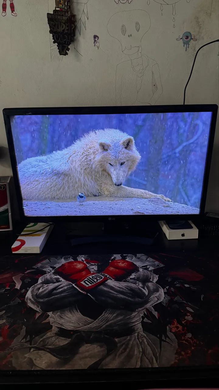 Monitor LG 60hz - Foto 3
