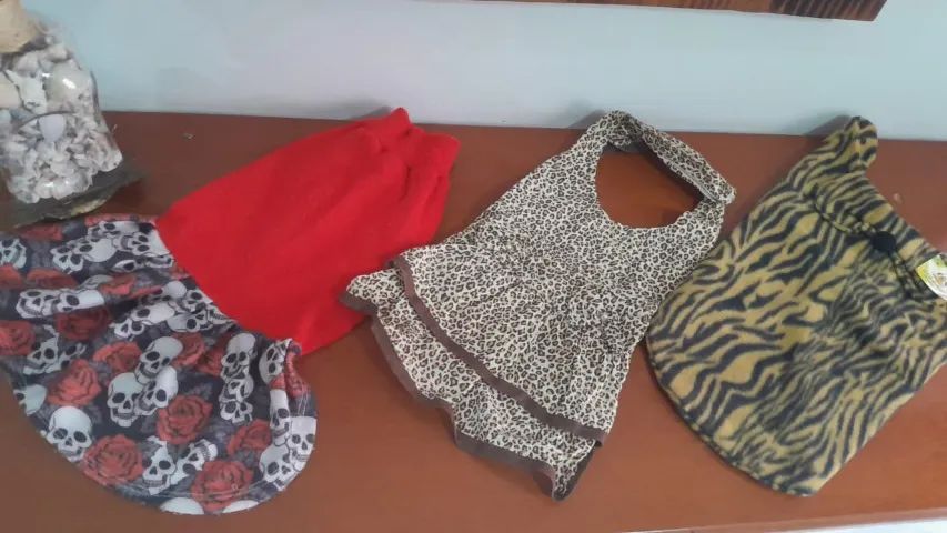 Roupa Para Cachorro Tam 22 Casaco Vestidos Pet 3 Peças - Foto 6