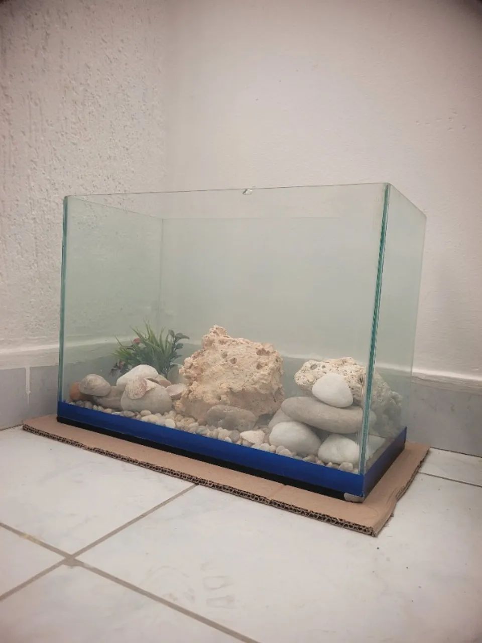 Aquario  - Foto 2