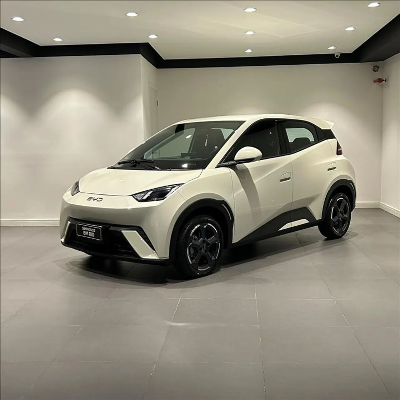 BYD Dolphin Mini (Elétrico) 2025