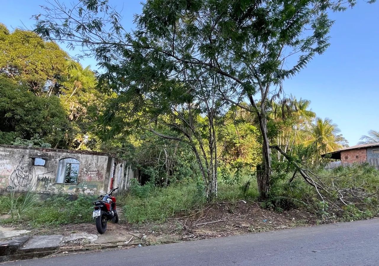 Foto - Novo Airão - 