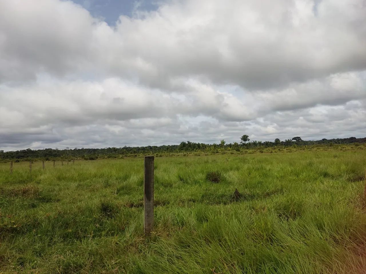 Vendo Fazenda - Foto 5