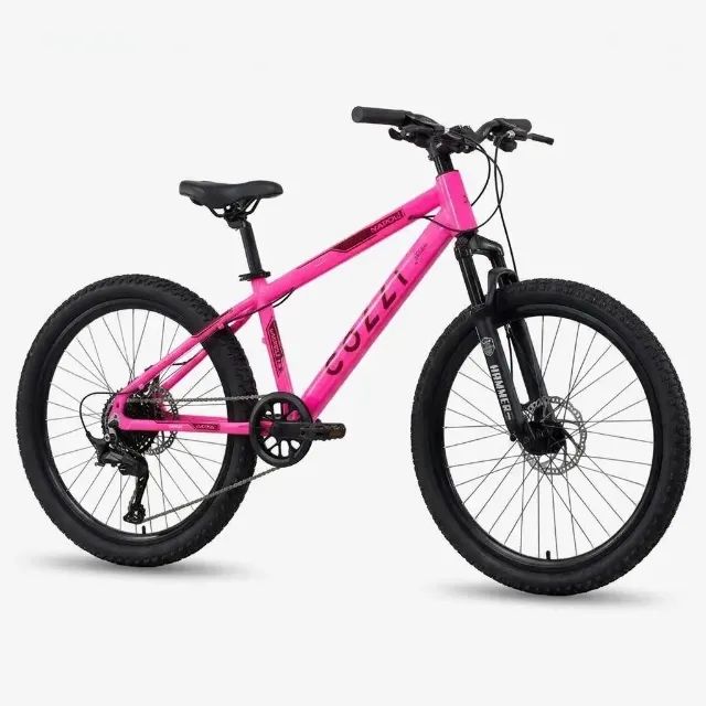 Bicicleta aro 24