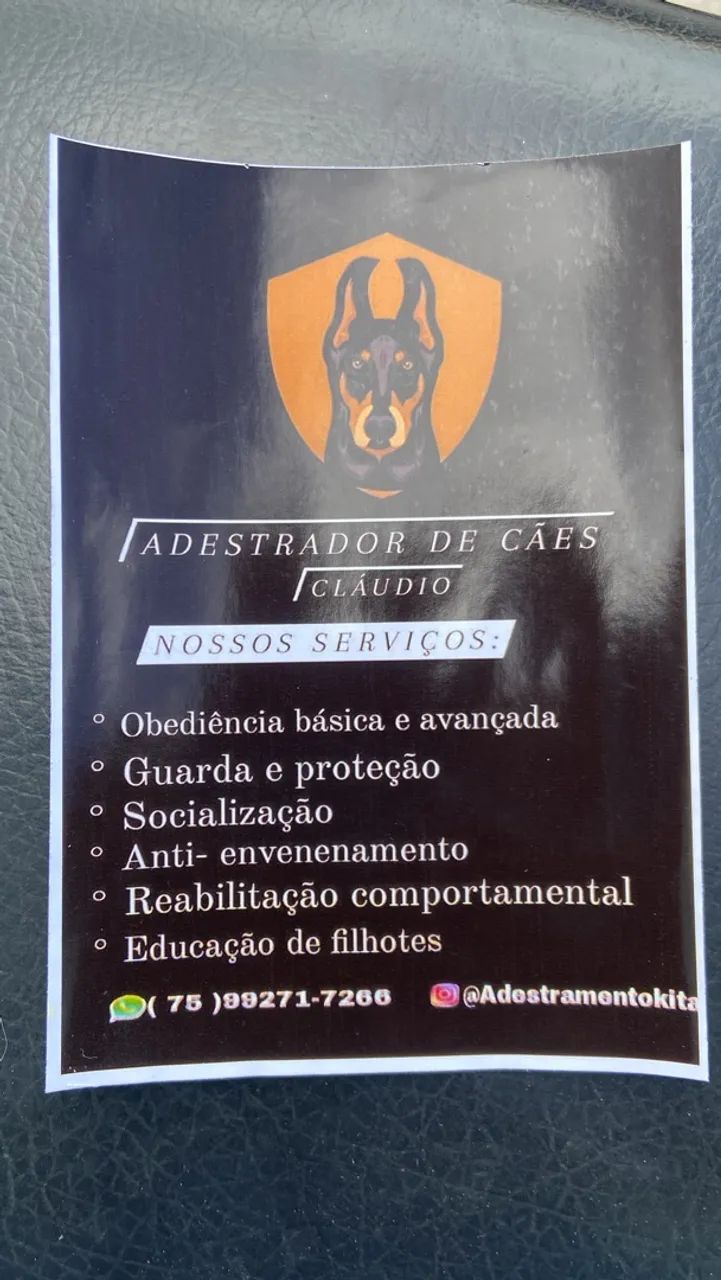 Adestramento adestrador Cláudio 