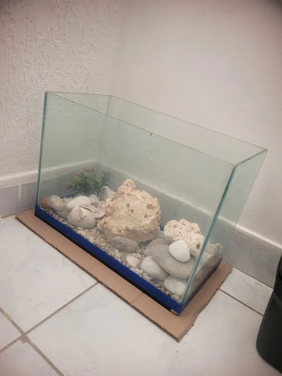 Aquario  - Foto 3