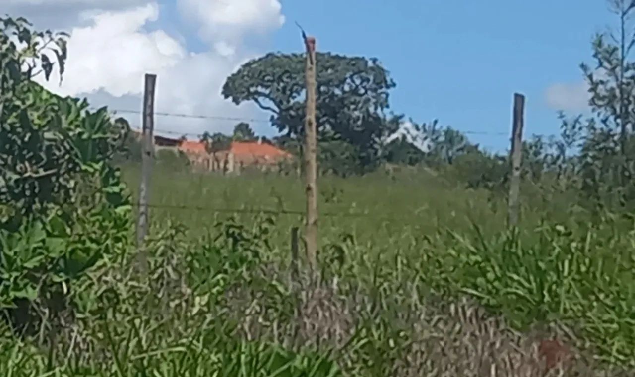 Chácara  - Foto 3