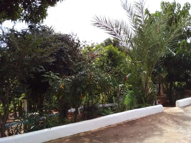 Chácara 1.330 m2 - Foto 2