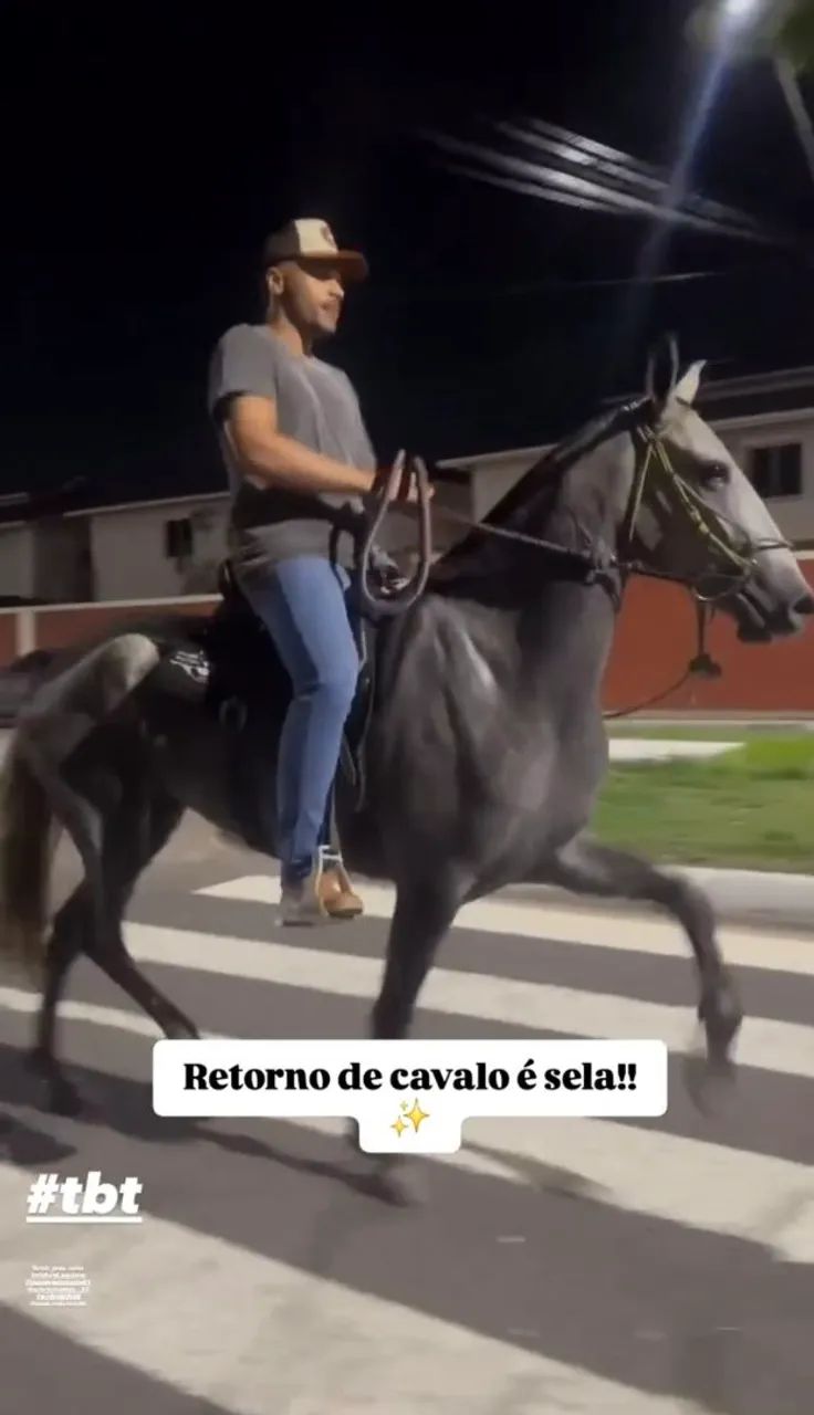 Potra a venda - Foto 3