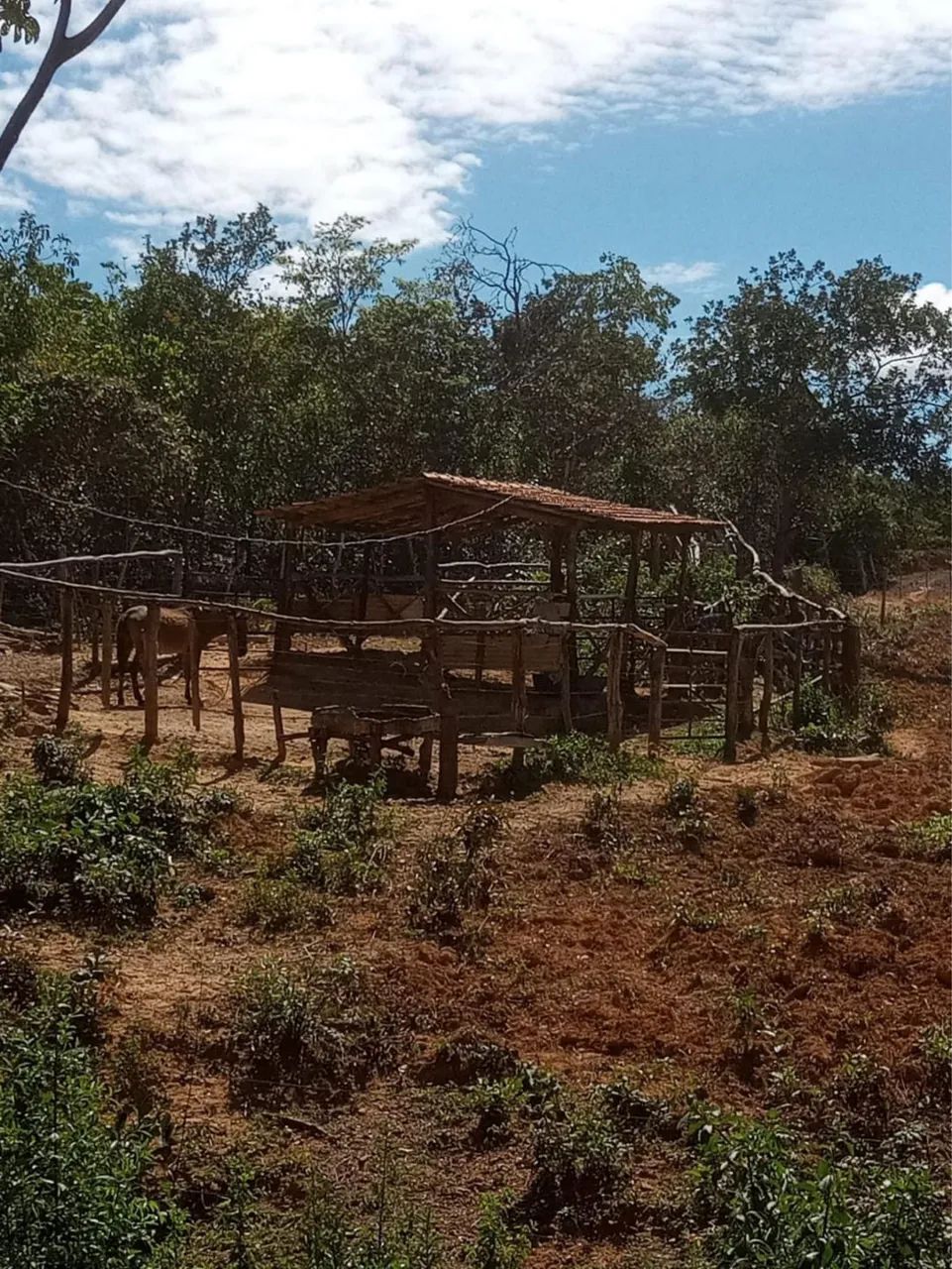 Sítio a venda  - Foto 5