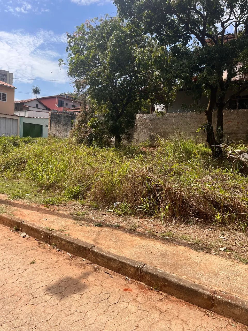 Lote no campo alegre - Foto 4