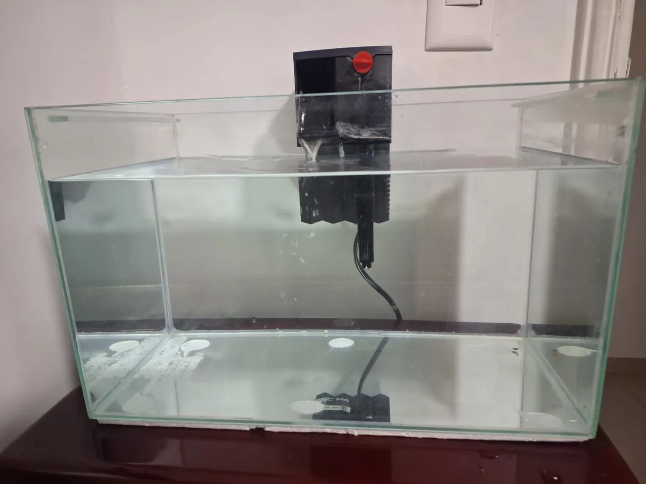 Filtro Hang-On Eheim Liberty 75 com aquário de 23 Litros e luminária  - Foto 5