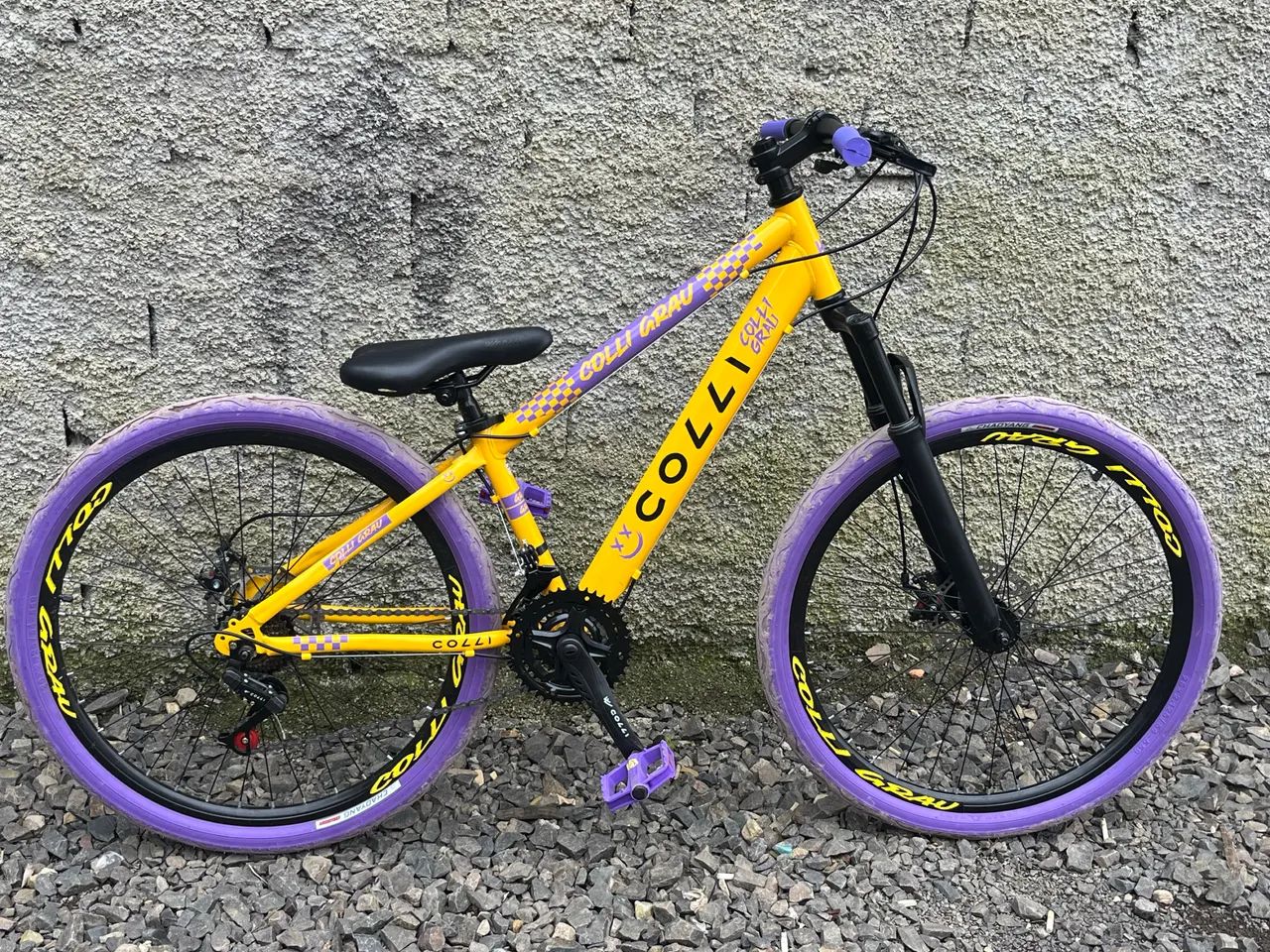 Vendo bicicleta semi nova 