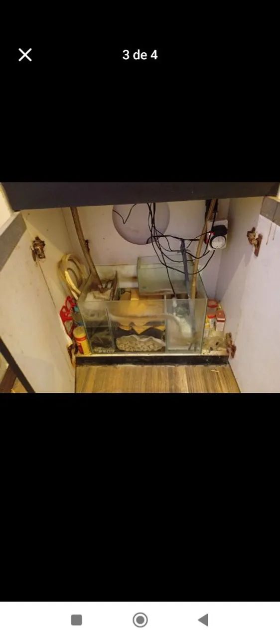 Aquário marinho 84 - Foto 3