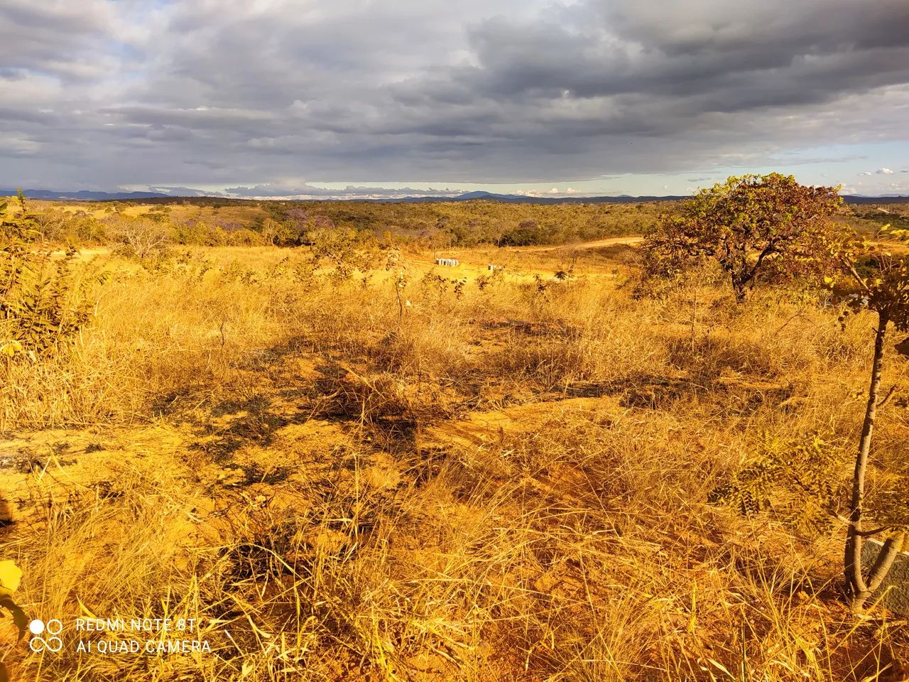 Venda  - Foto 2