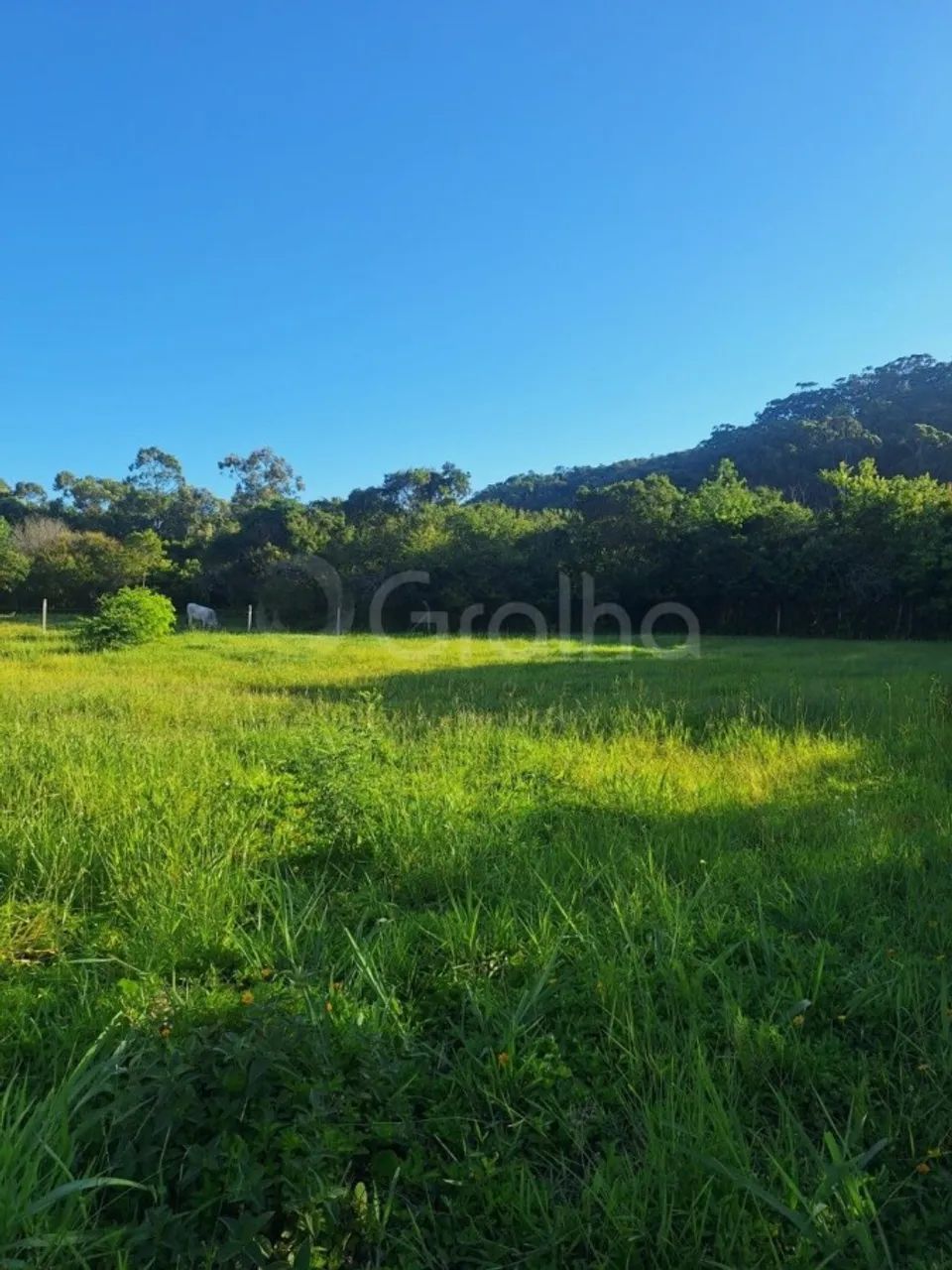 Terreno para Venda em Florianópolis, Ingleses do Rio Vermelho - Foto 5